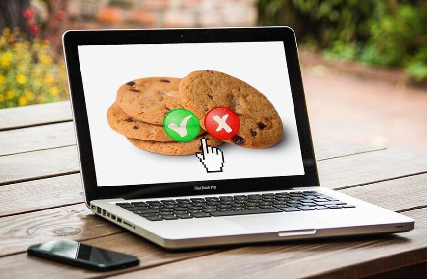 naršyklės slapukai