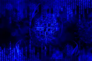 kibernetinis saugumas