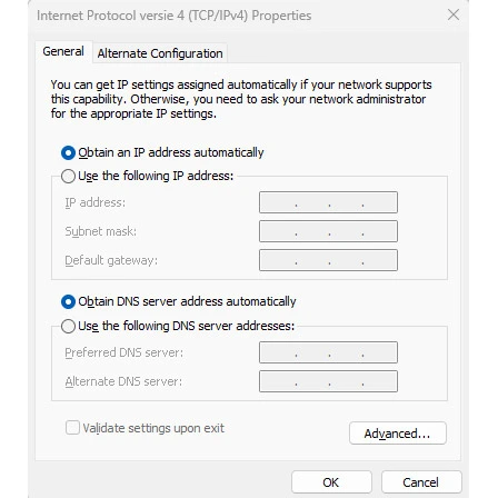 dns serverio adresas