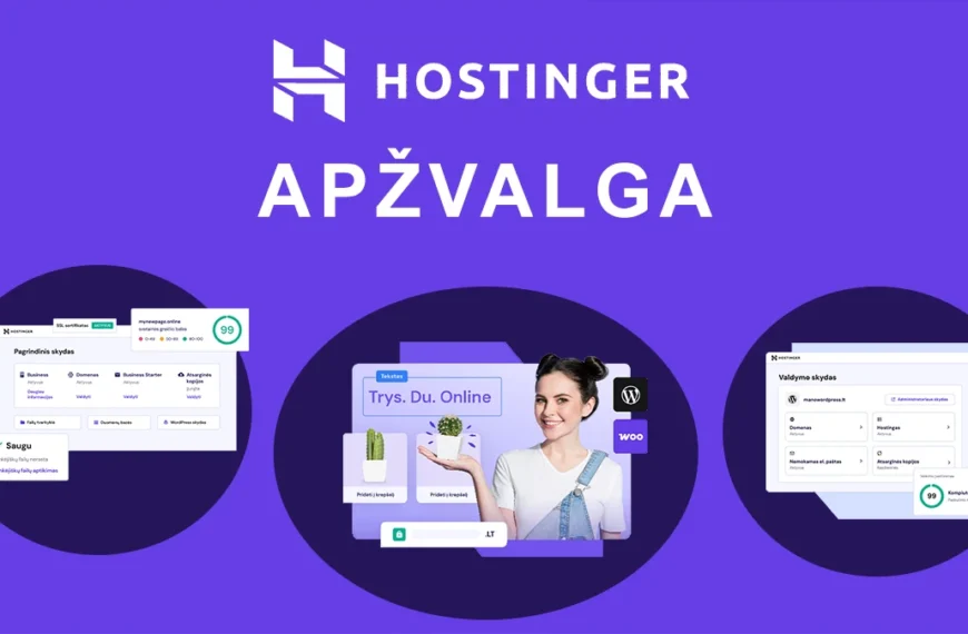Hostinger apžvalga