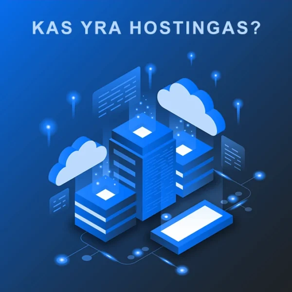 kas yra hostingas