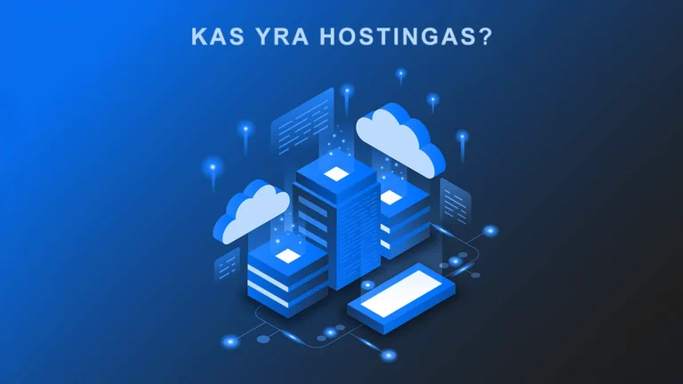 kas yra hostingas